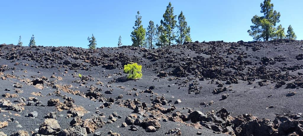 Chinyero Volcano Crater