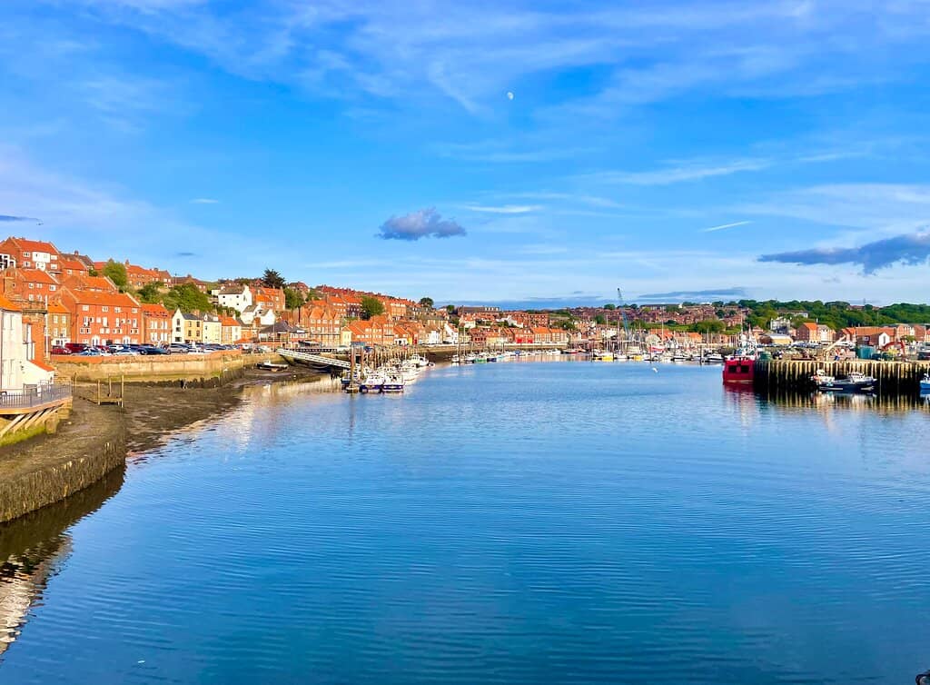 Harbour Views