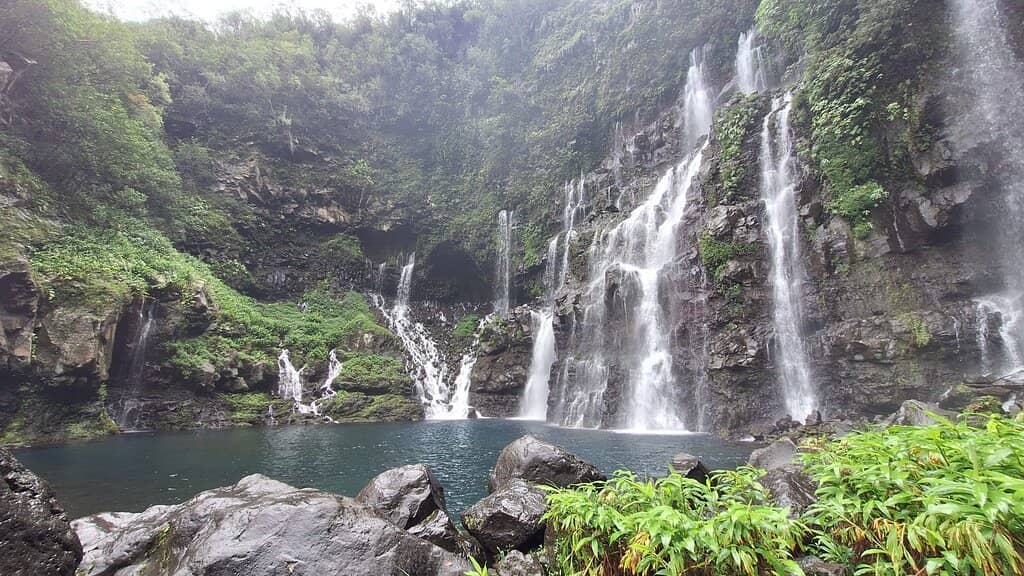 Lush Tropical Surroundings