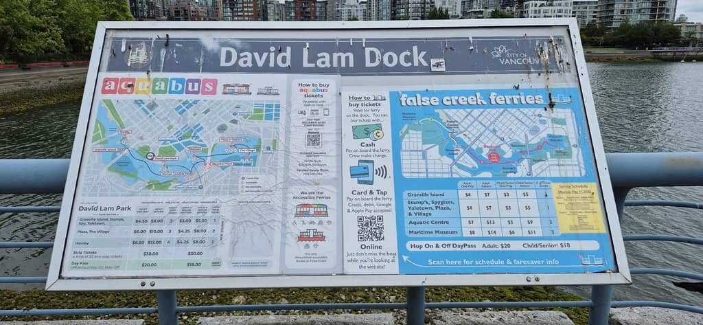 Cherry Blossom Spectacle