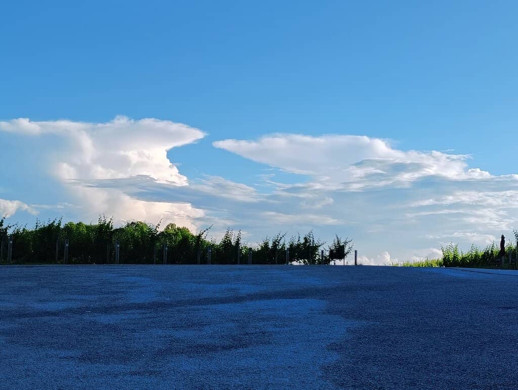 Wine Tasting Experience