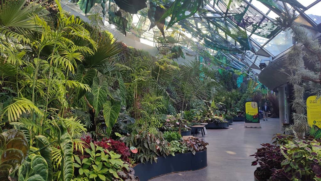 Rainforest Immersion