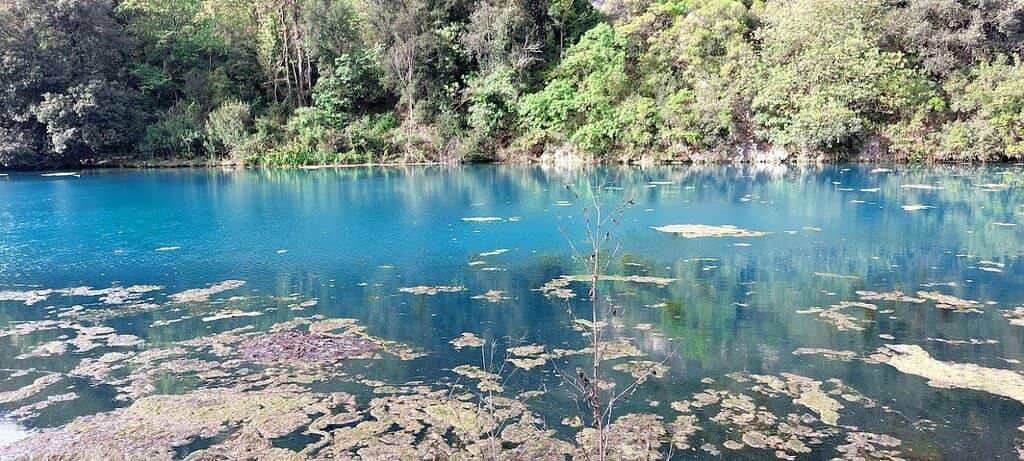 Sorgente della Monica