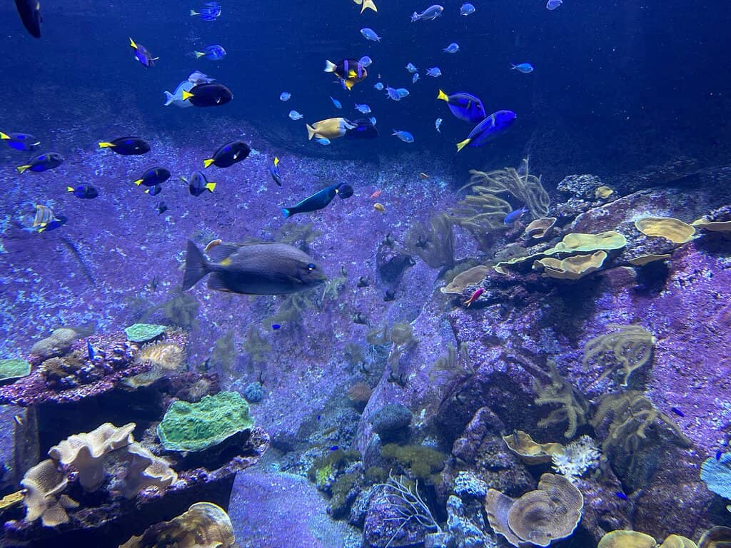 Panoramic City Views