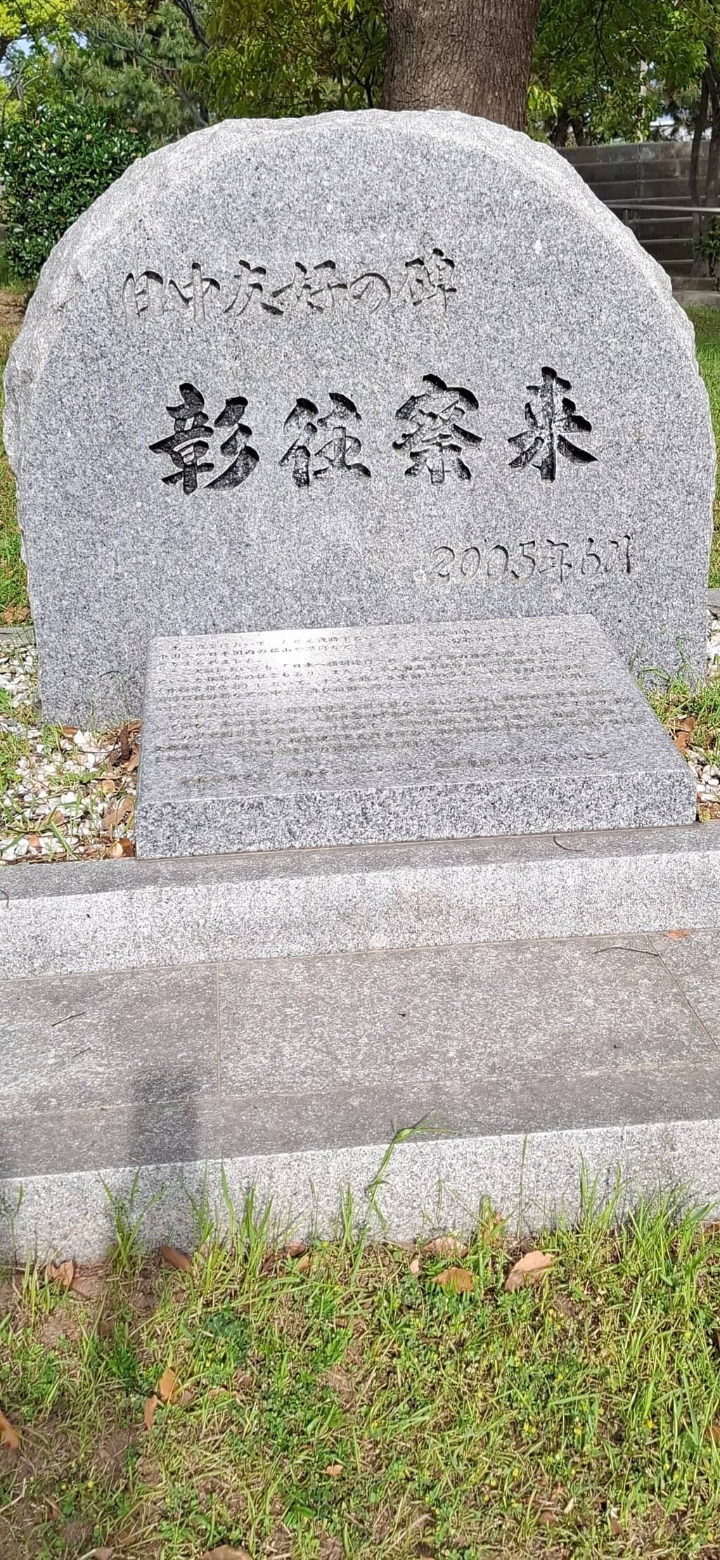 Cherry Blossoms (Seasonal)