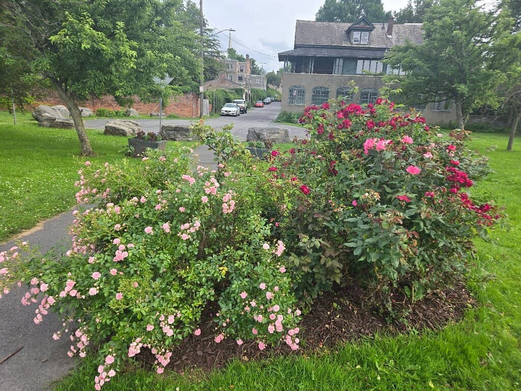 Strawberry Fields & Imagine Mosaic