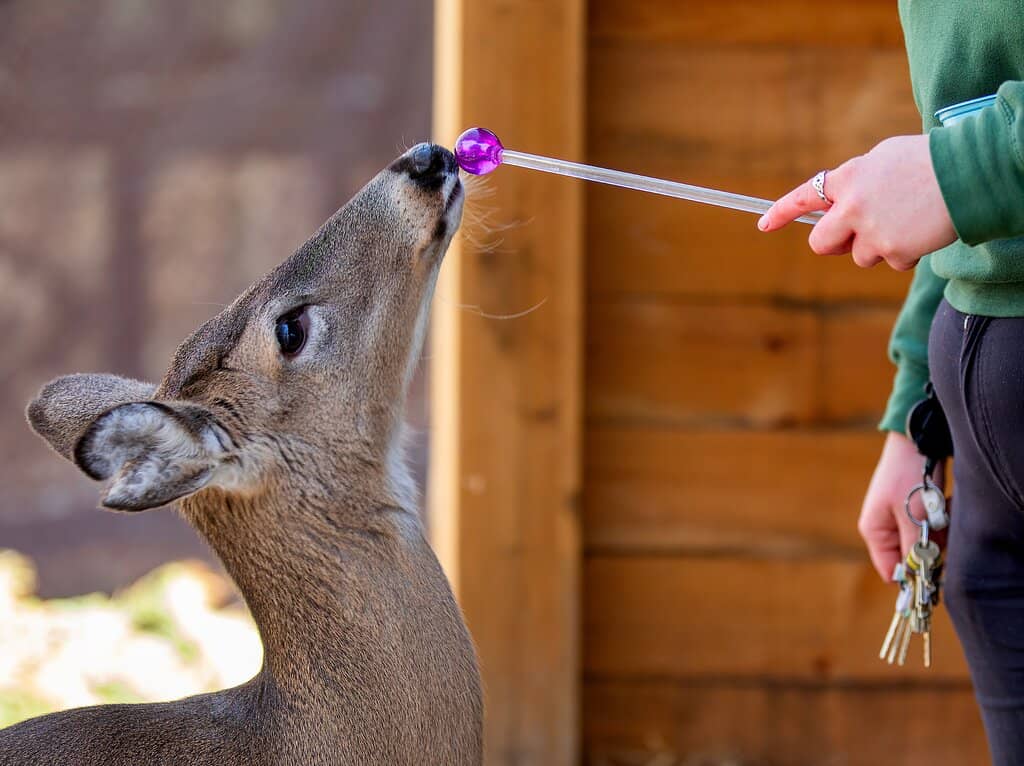 Chesapeake Bay Aquarium