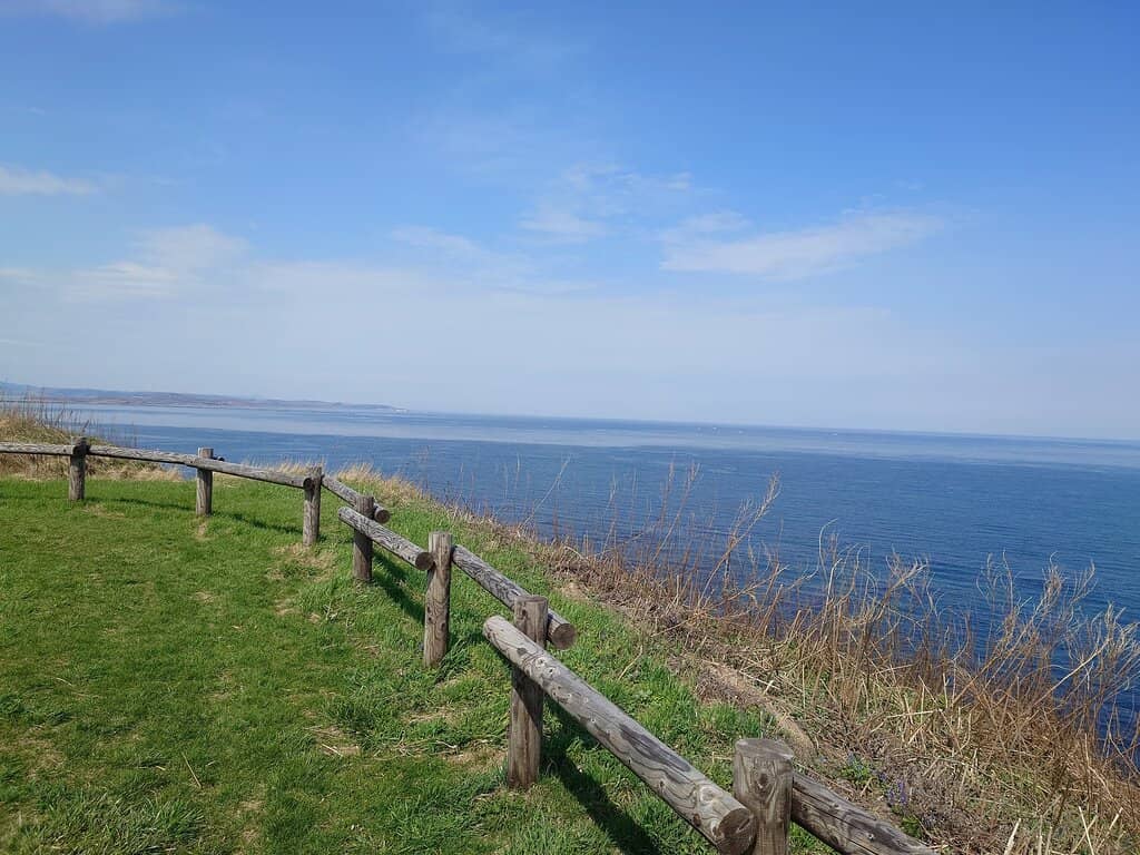 Drift Ice Spectacle (Winter)