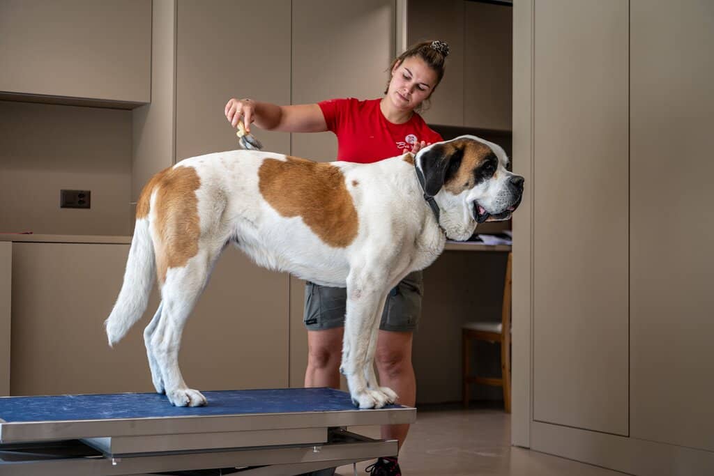 Breed History Exhibits