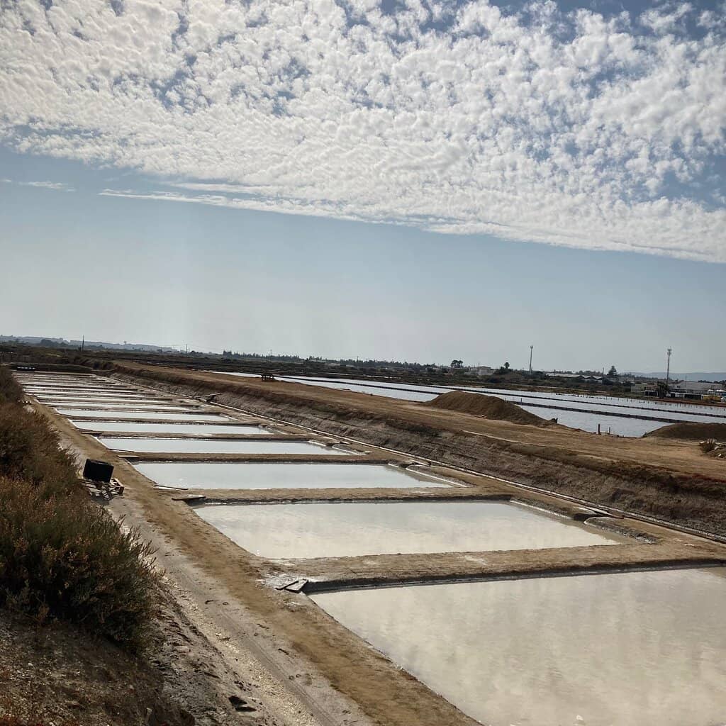 Salt Harvesting Process