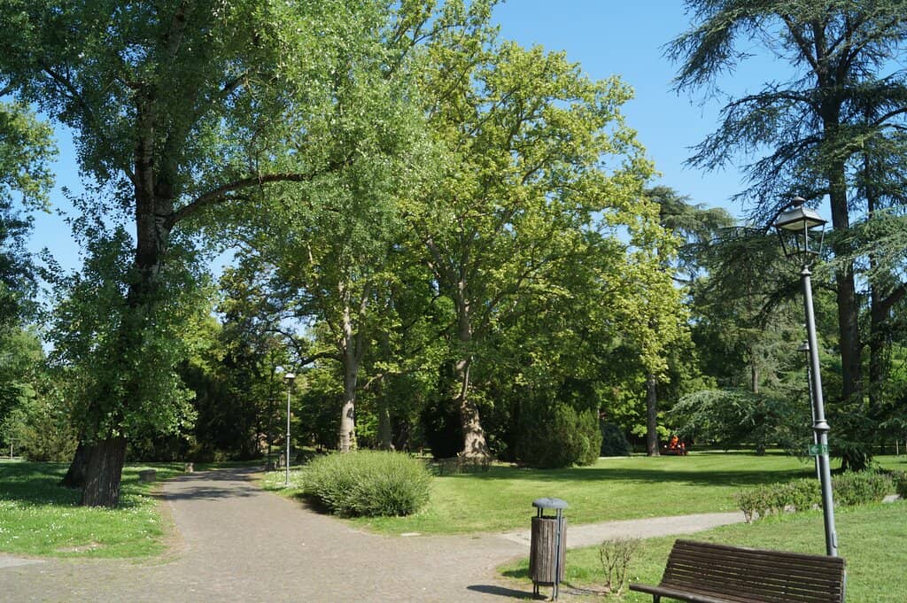 Vertical photo