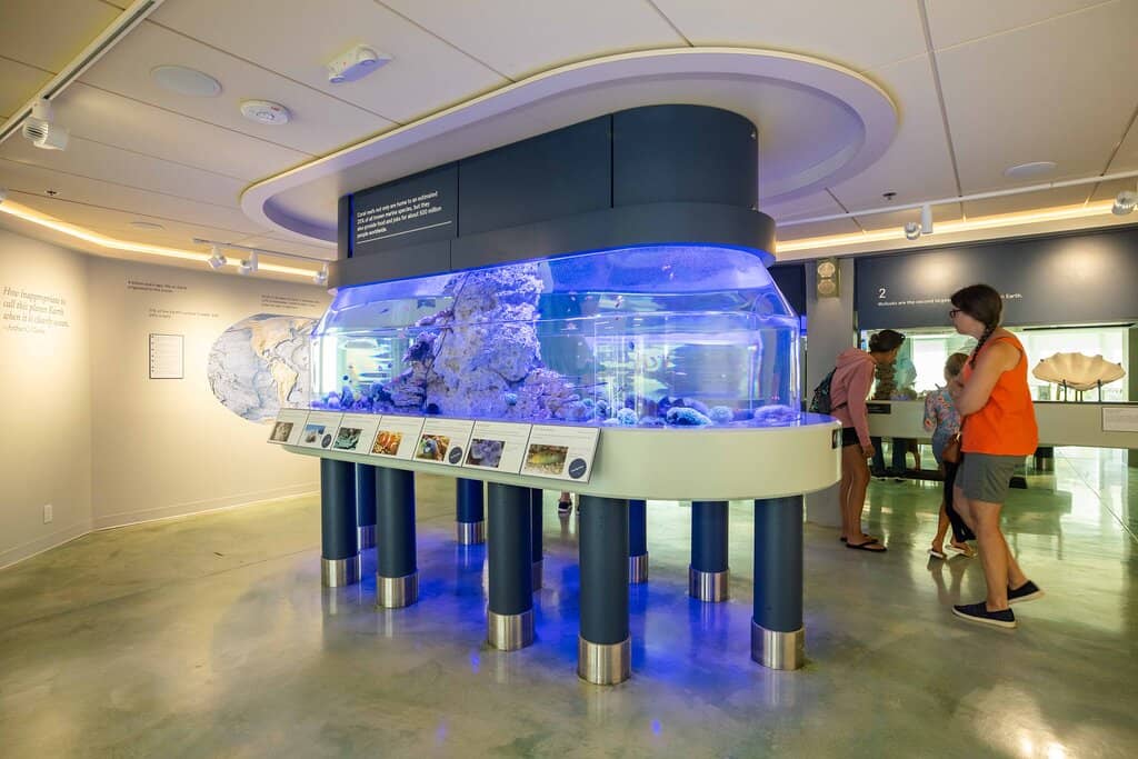 Great Hall of Shells