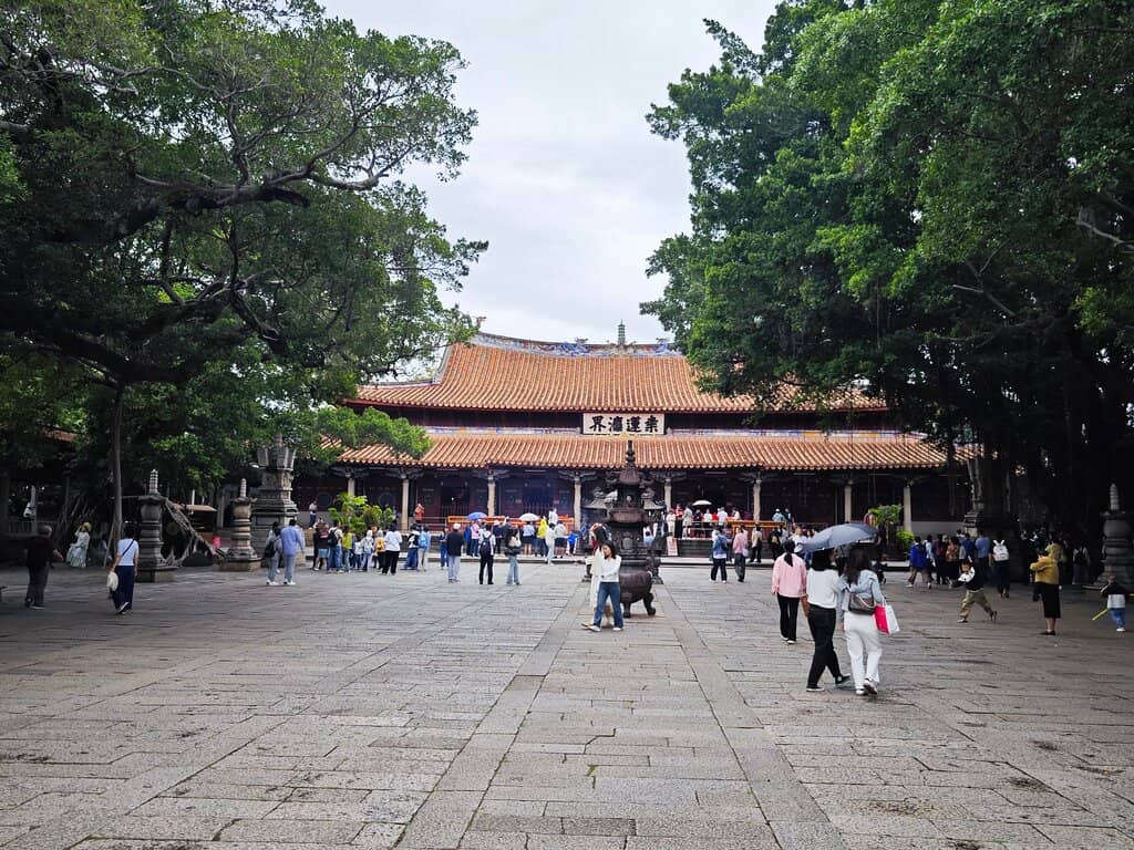 Ancient Banyan Trees