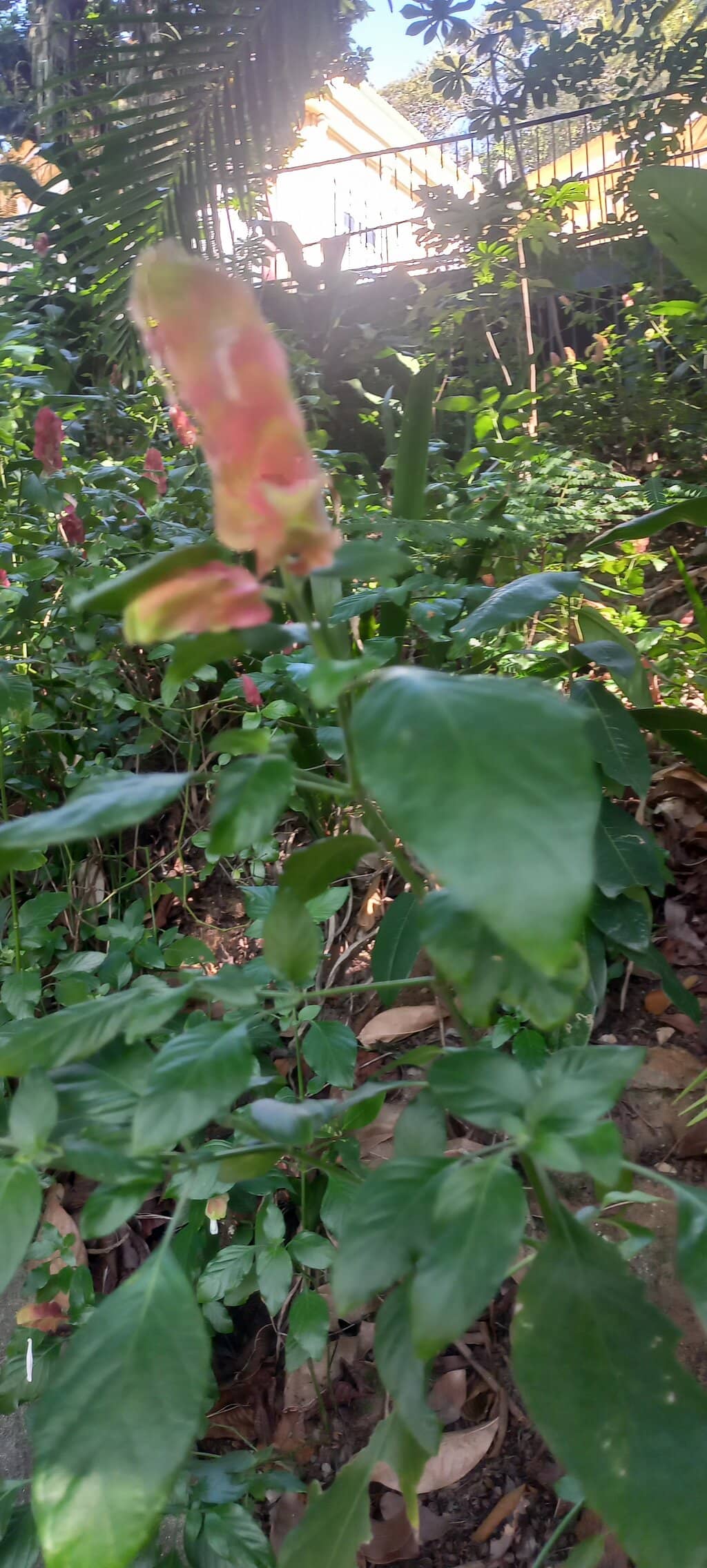 Historical Significance