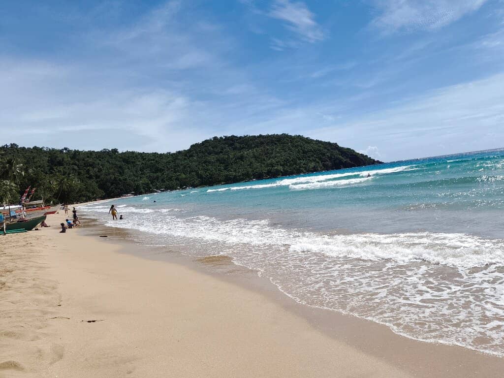 Fresh Seafood Delights