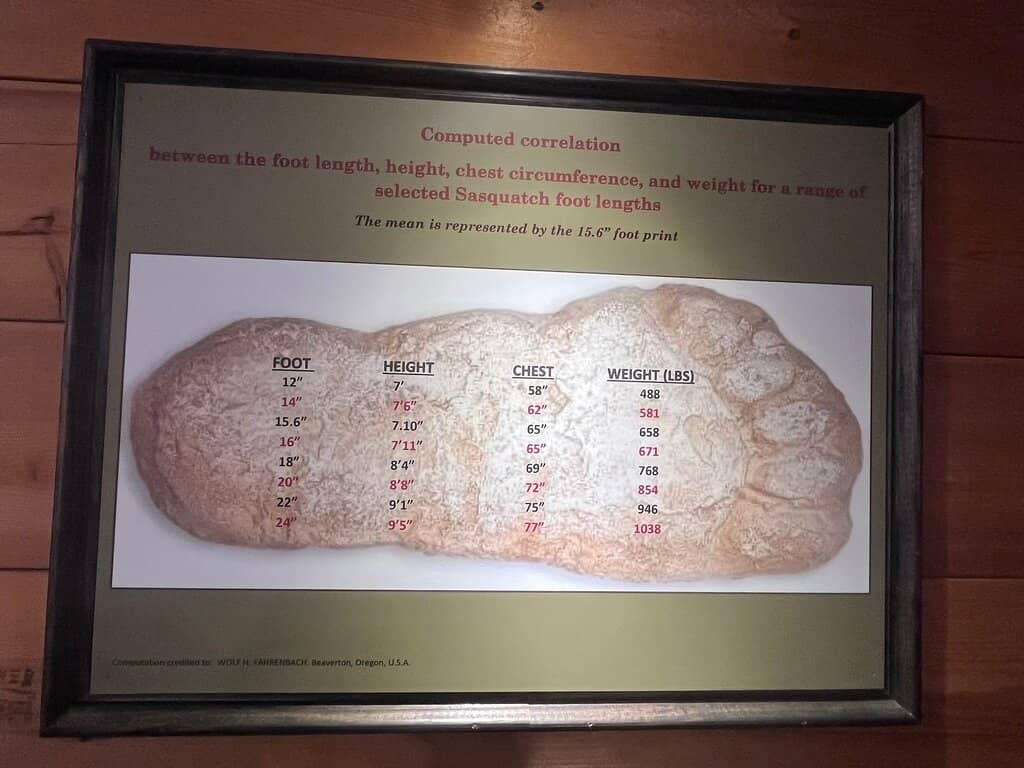 Authentic Artifacts & Casts