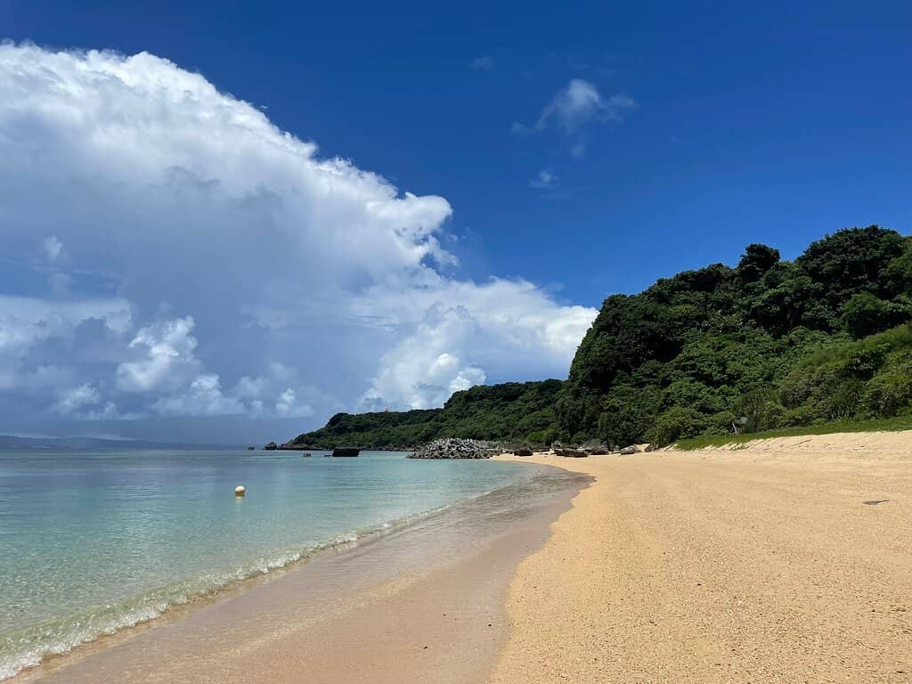 Abundant Marine Life