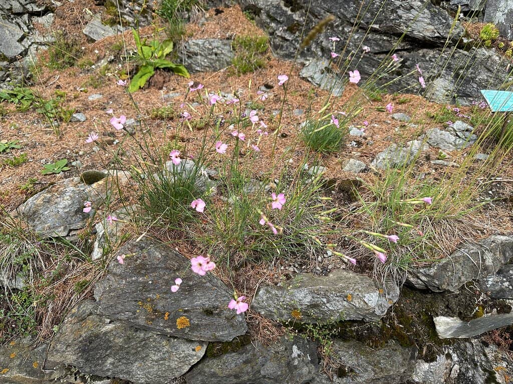 Gaudí-Inspired Corner