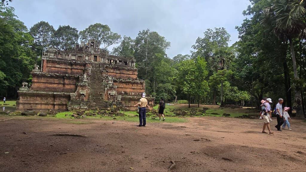 Peaceful Jungle Overlook