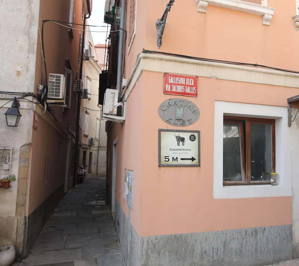 Quaint Old Town Charm