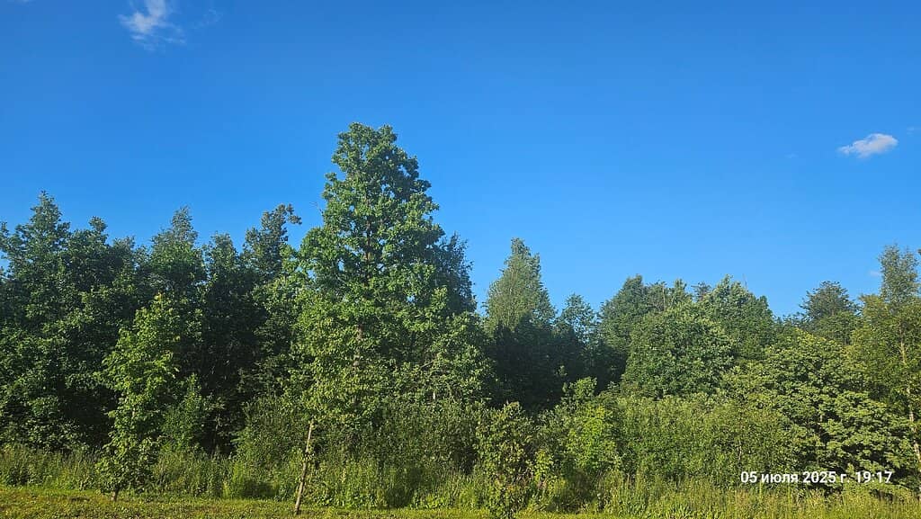 Biodiversity Hotspot