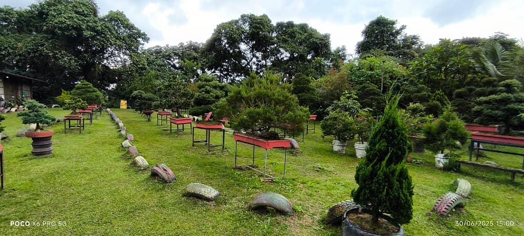 Butterfly House & Mini Zoo