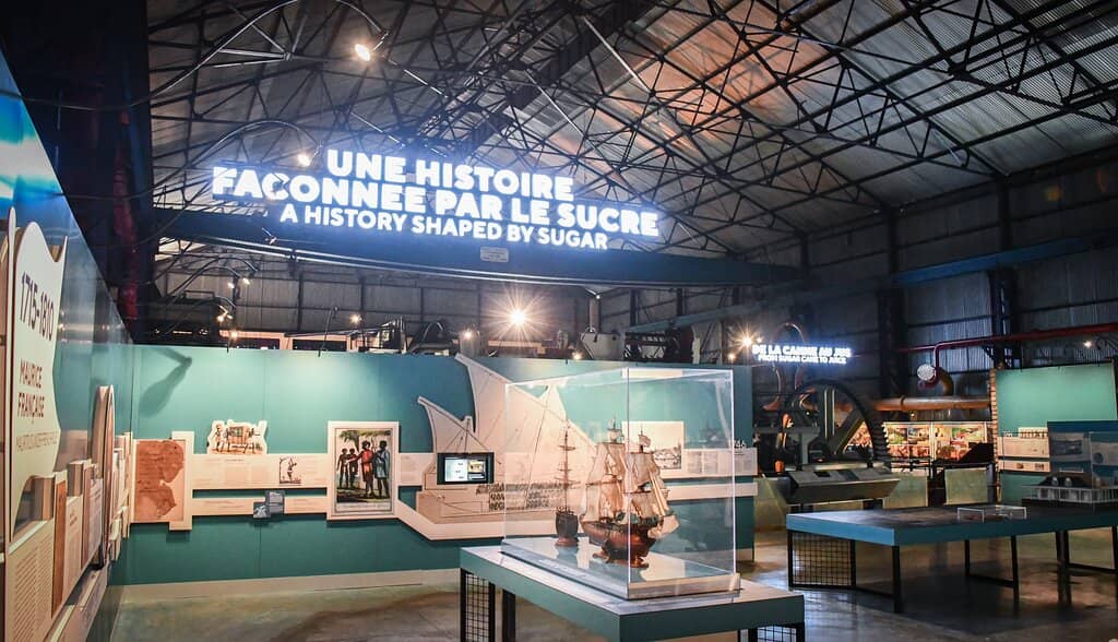 The Sugar Cane Journey