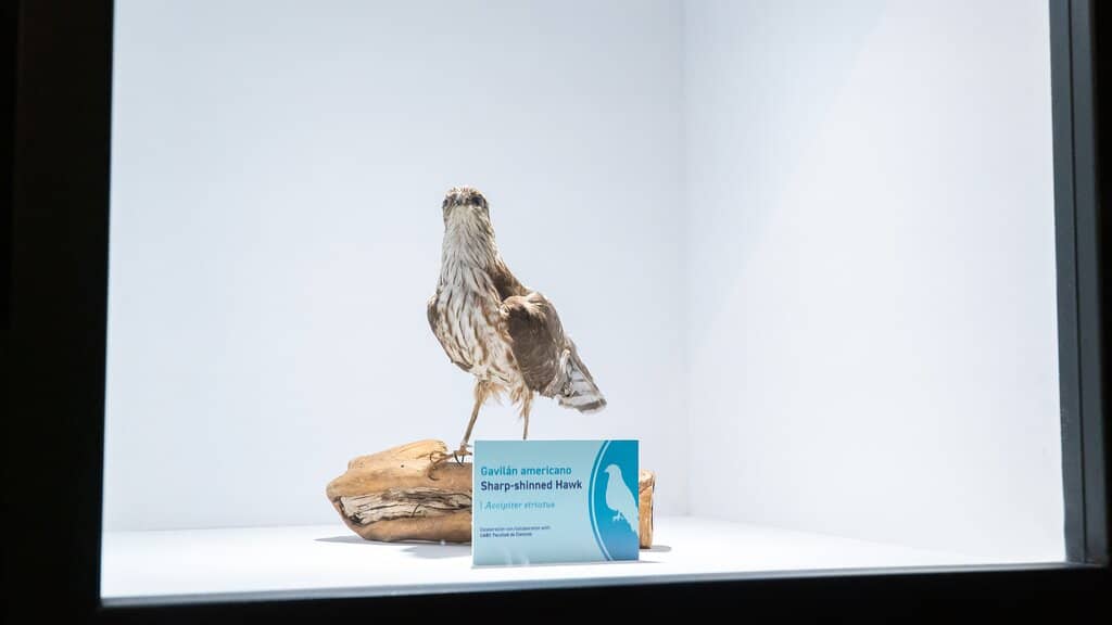 Interactive Science Exhibits