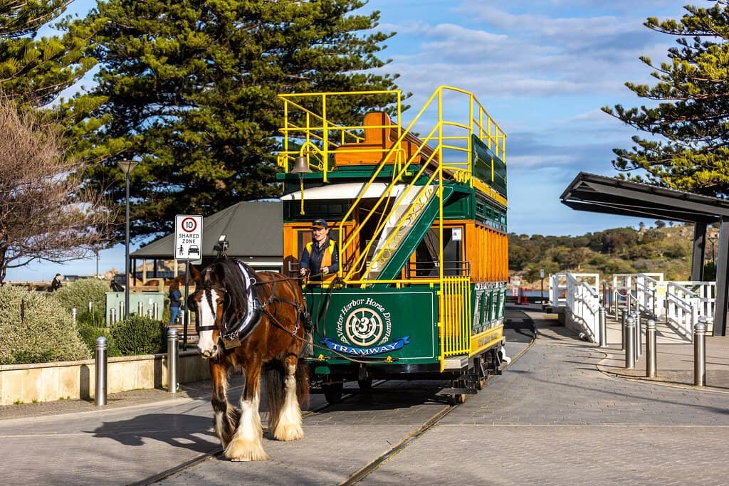 Granite Island Exploration