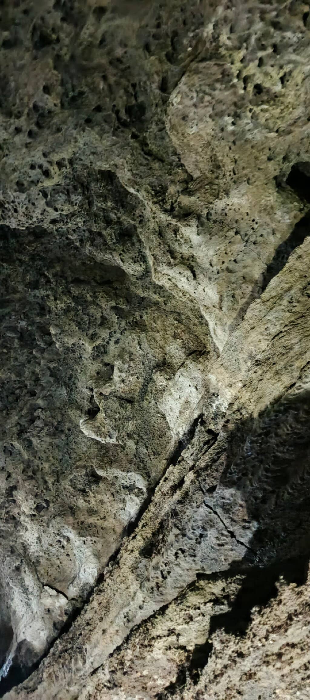 Lush Highland Landscape