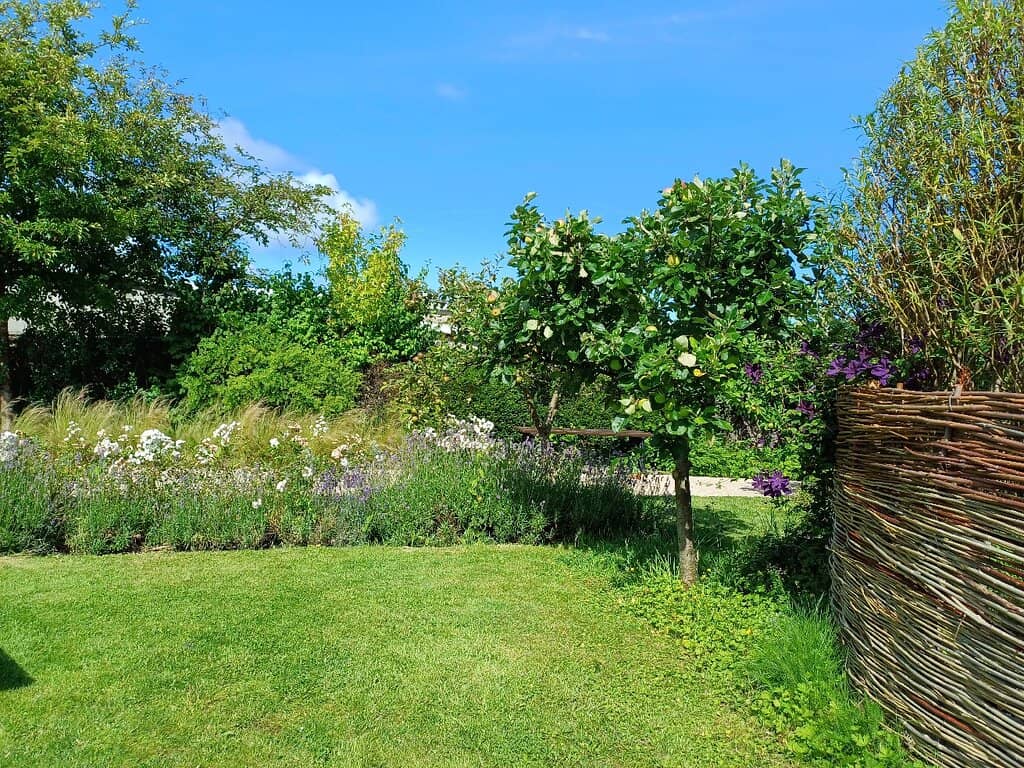 Jackie Clarke's Life Story