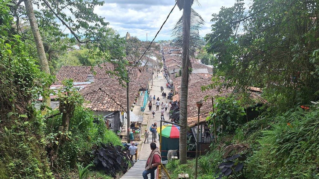 Panoramic Salento View