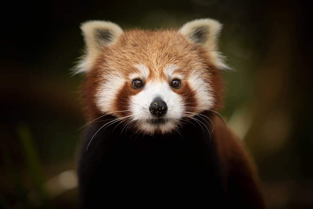 Splash Park & Playground