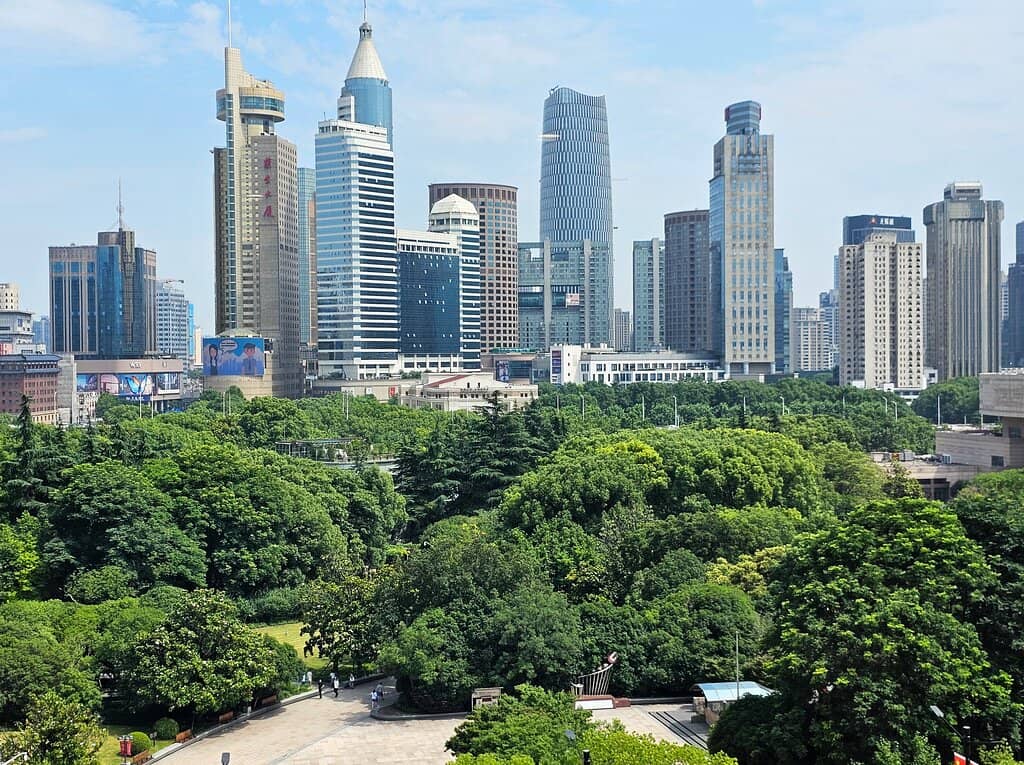 Tea Houses & Kung Fu Tea