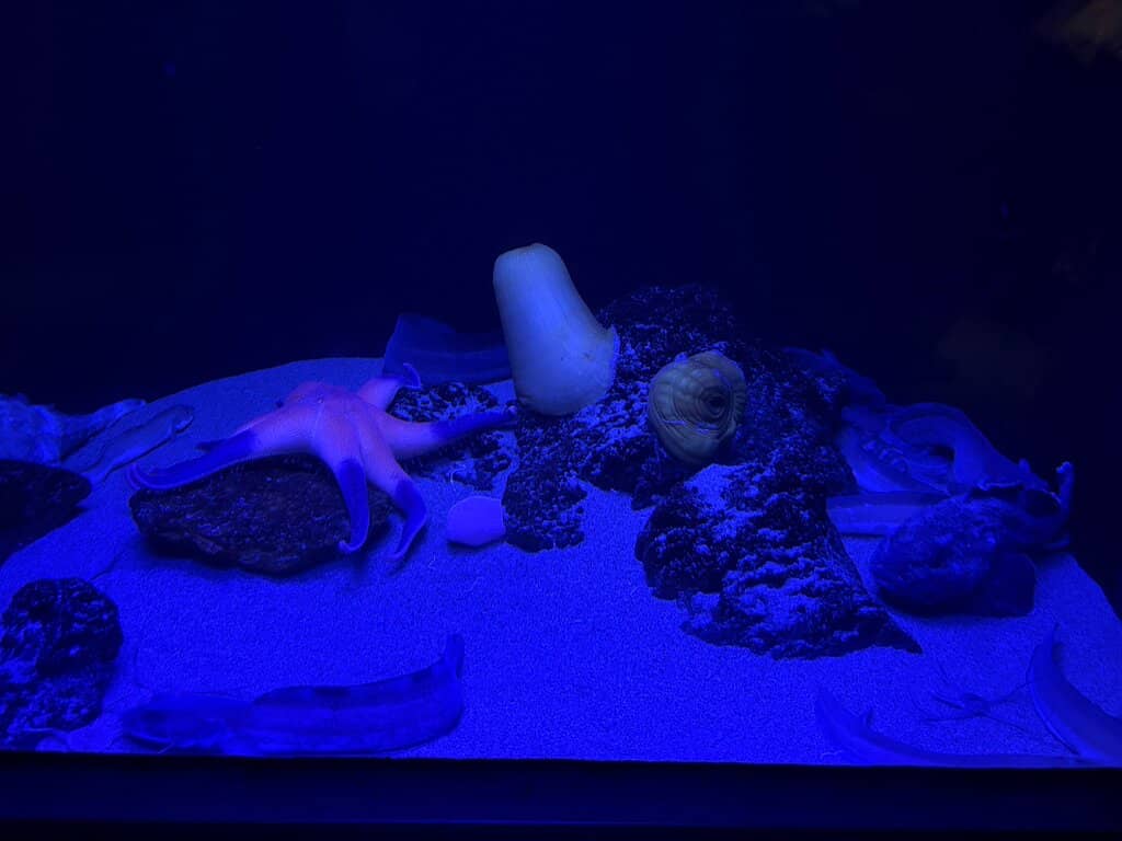 Penguin & Sea Lion Exhibits