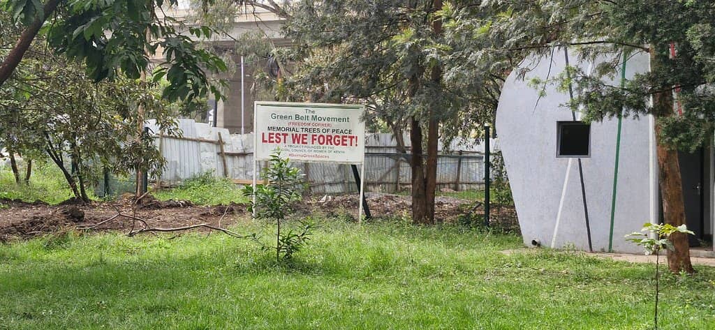 Kid-Friendly Play Zones