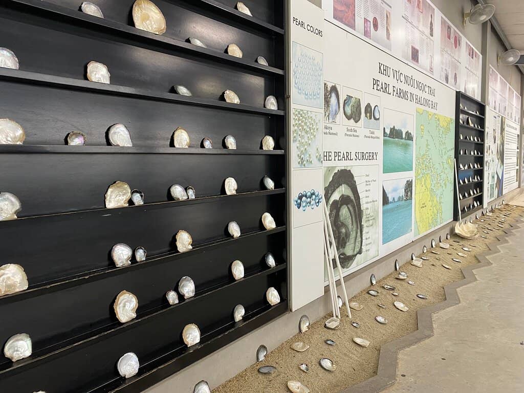 Floating Oyster Cages