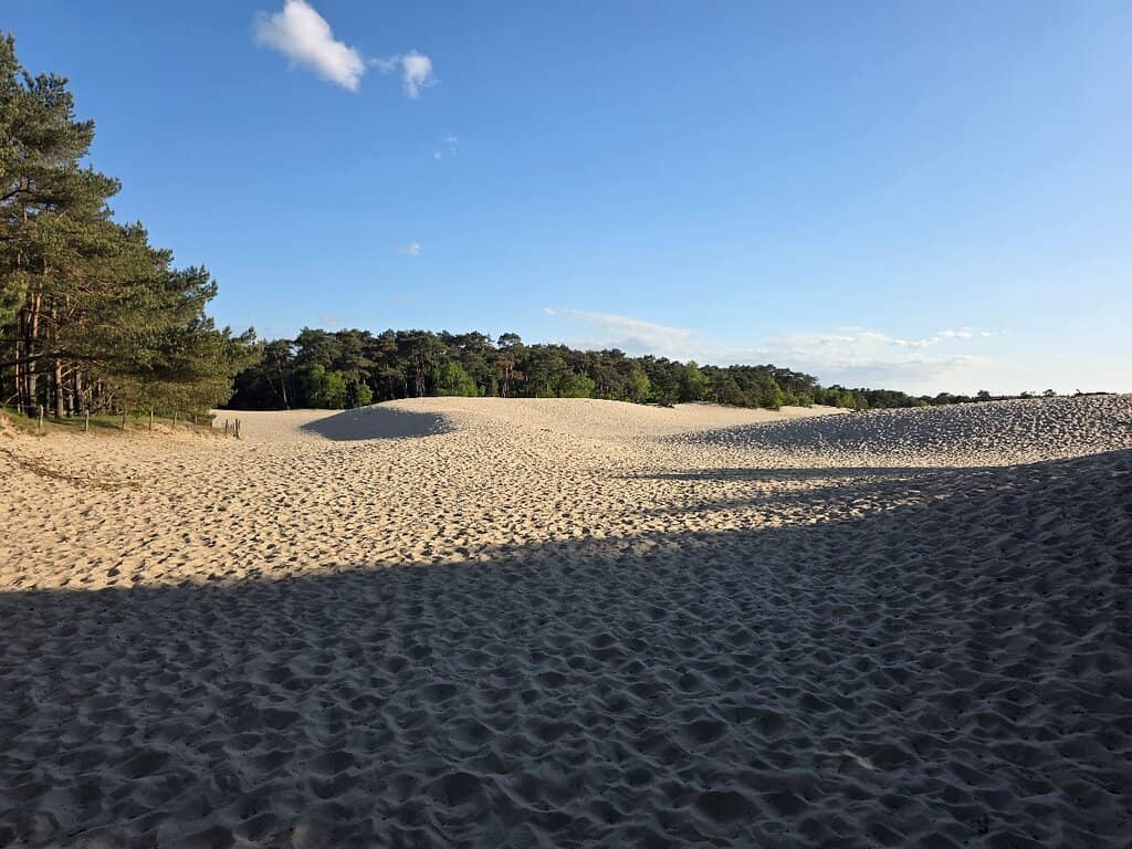 Forest and Dune Trails