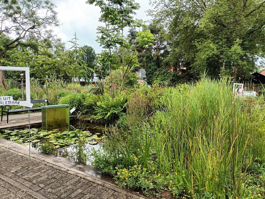 Cut-Your-Own Tea Garden