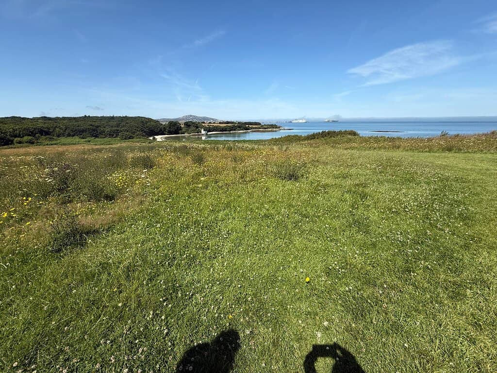 Red Squirrel Spotting