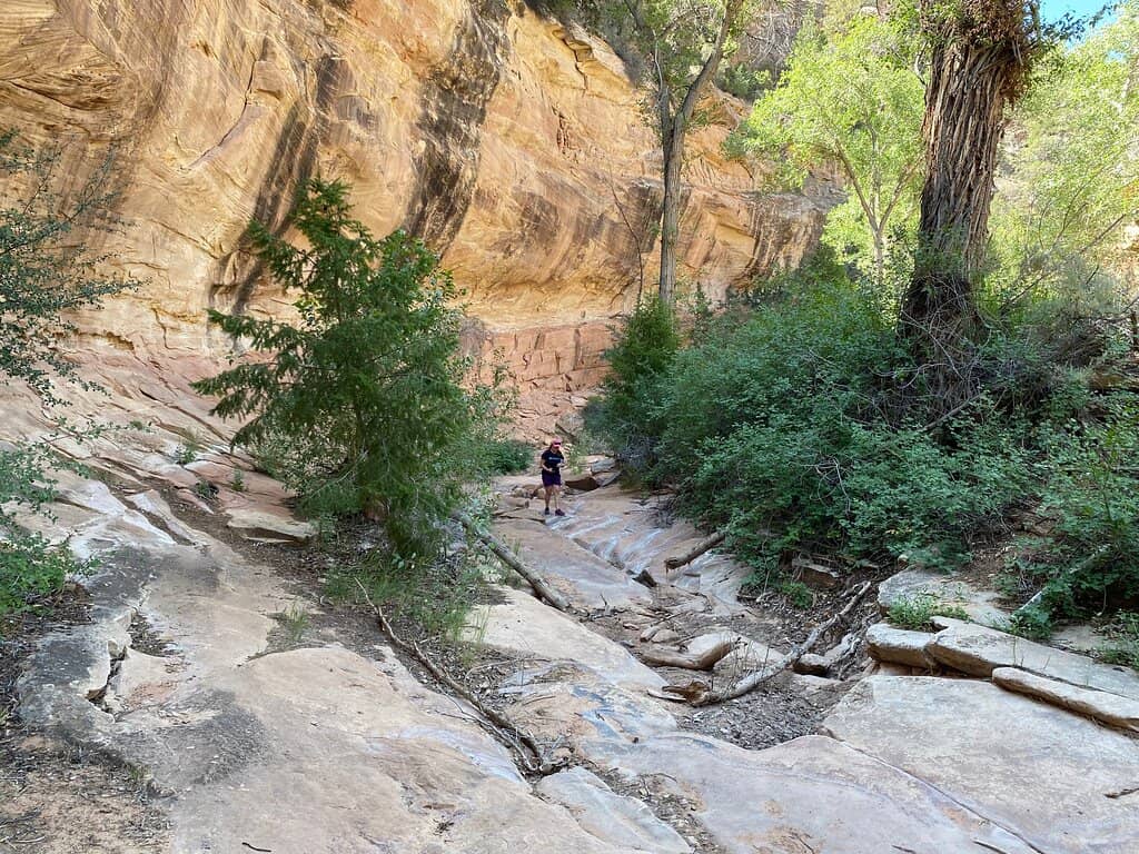 Vertical photo
