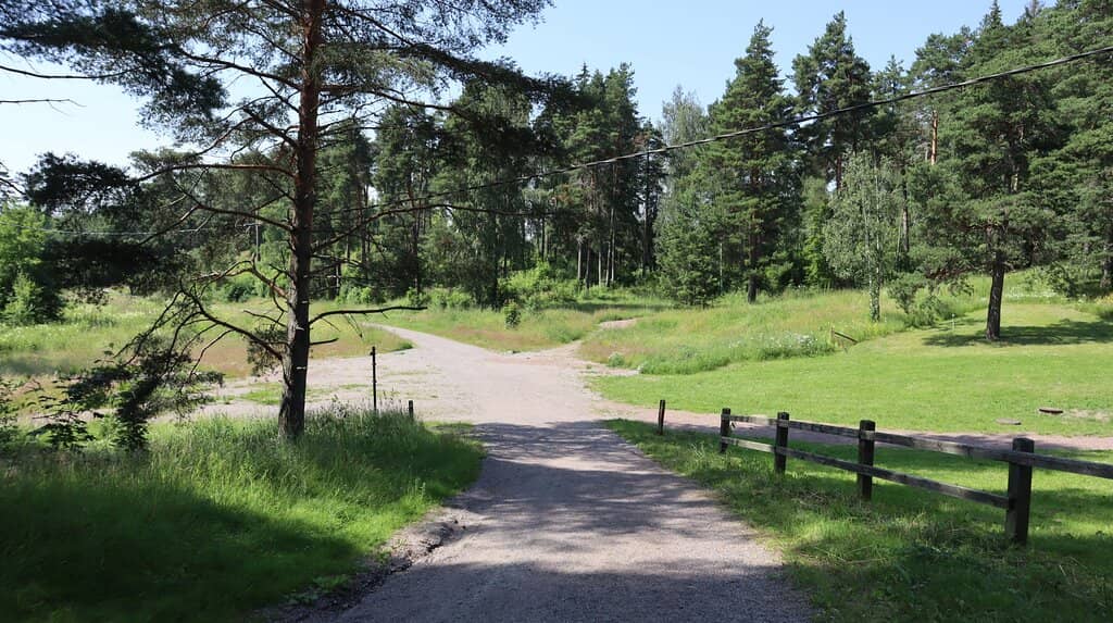 Winter Ski Jumping Spectacle