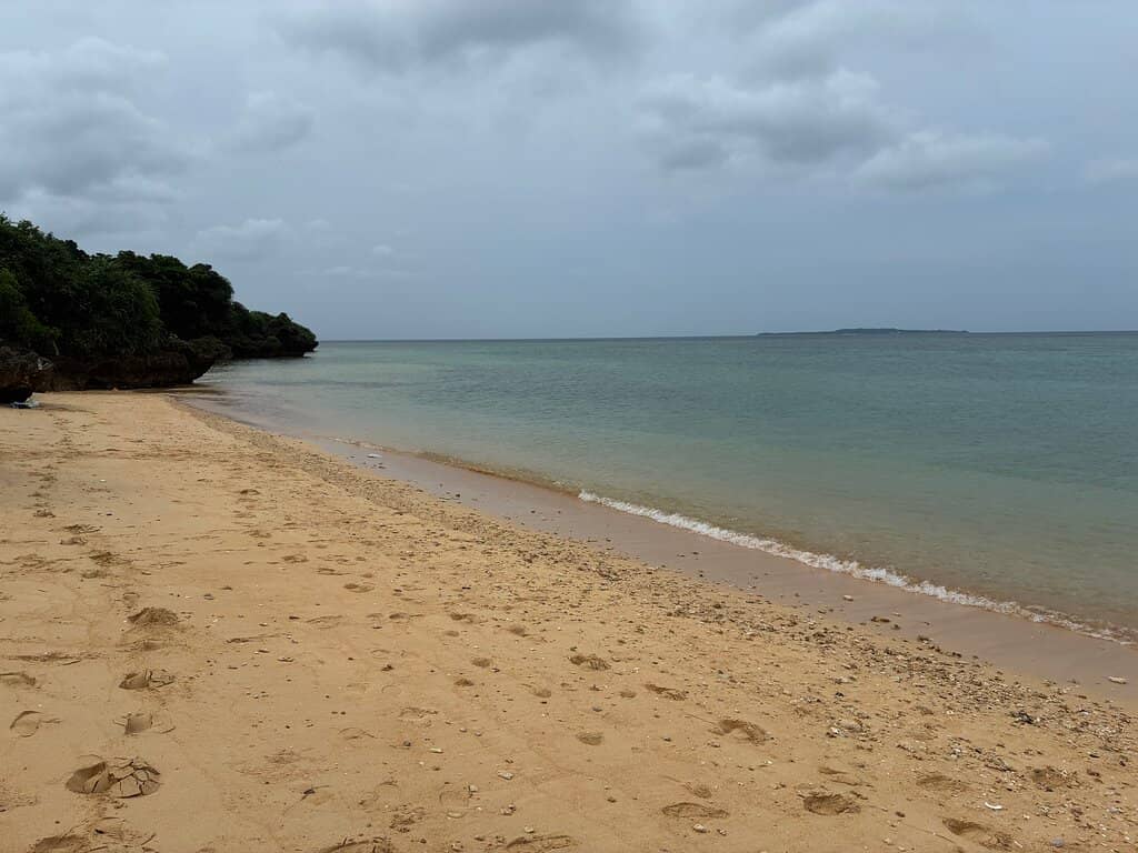 Coral Reef Snorkeling & Diving