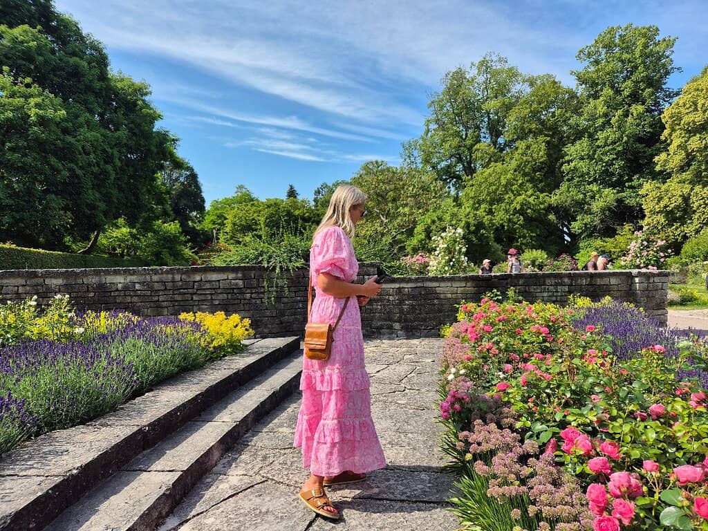 Exotic Tree Collection