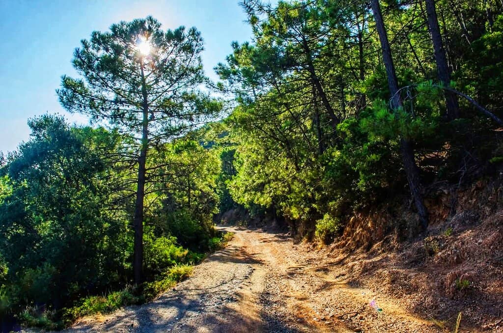 Pico de los Reales Summit