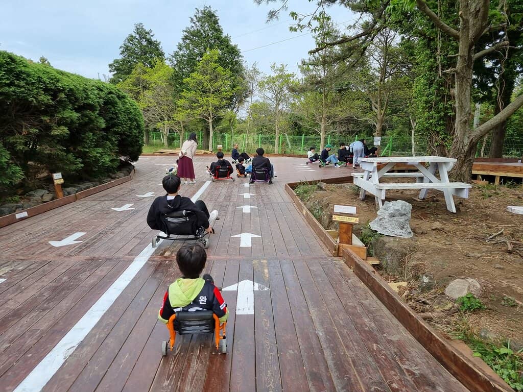 Jeju Island Shaped Maze