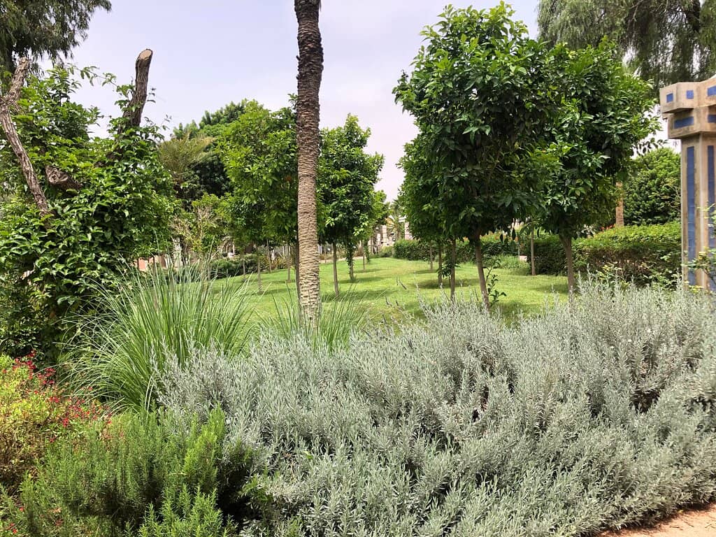 Peaceful Photo Opportunities