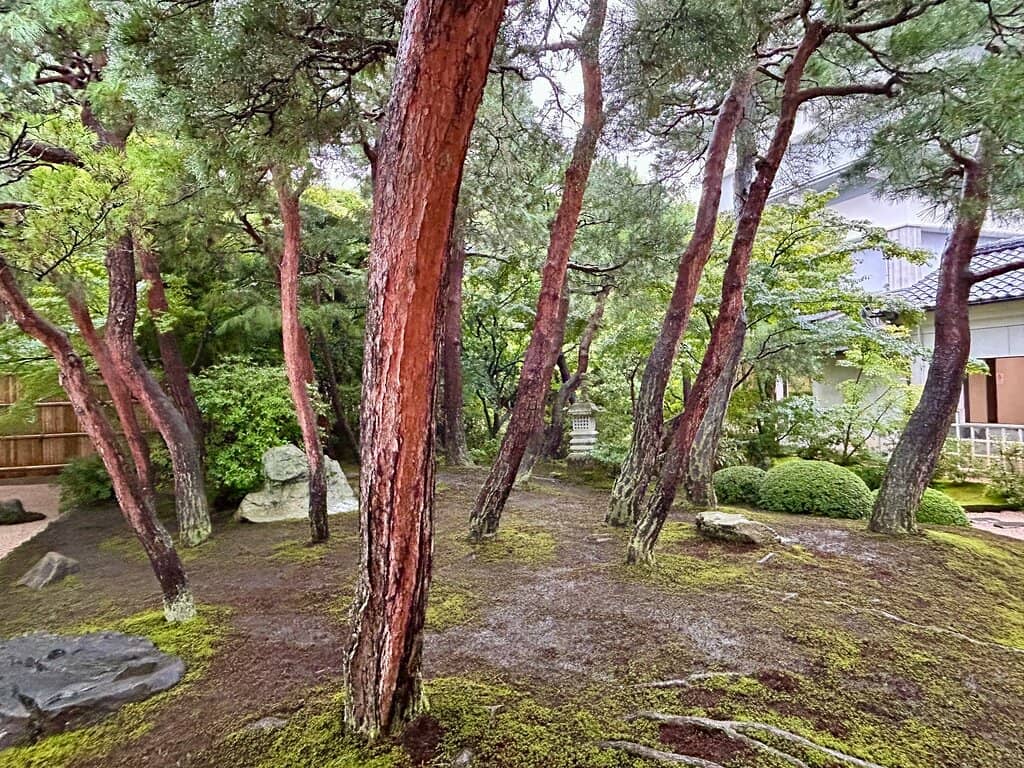 Masterpieces of Japanese Art