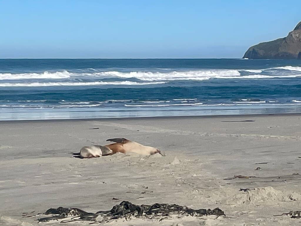 Dramatic Coastal Views