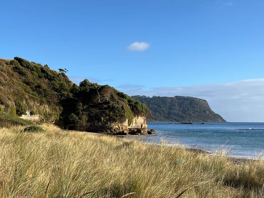 Scenic Lookout Point